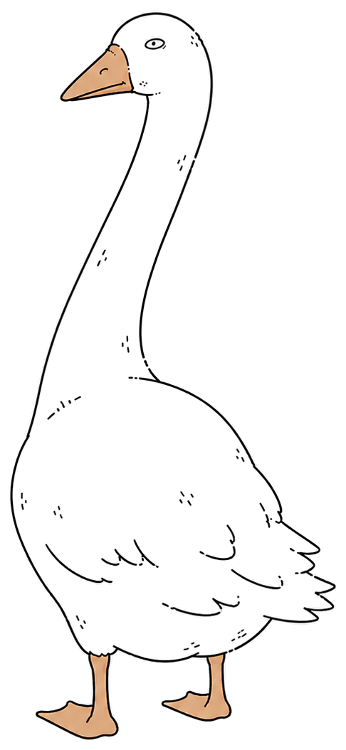 Roux du Toit