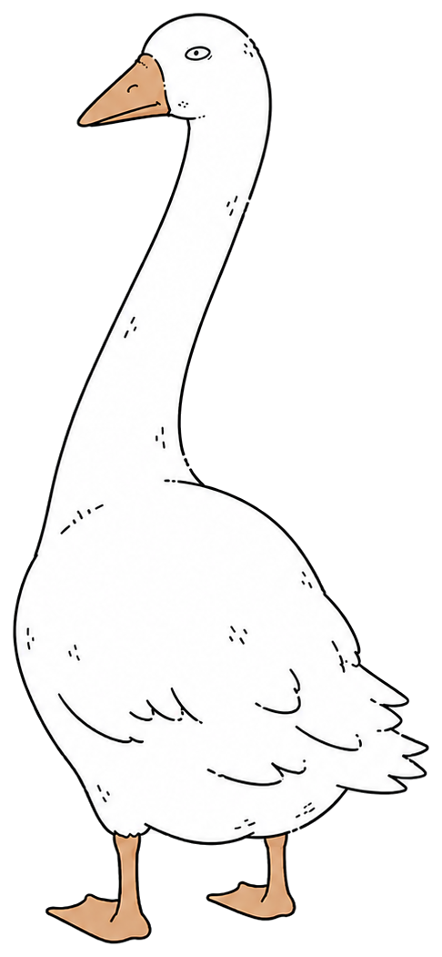 Roux du Toit